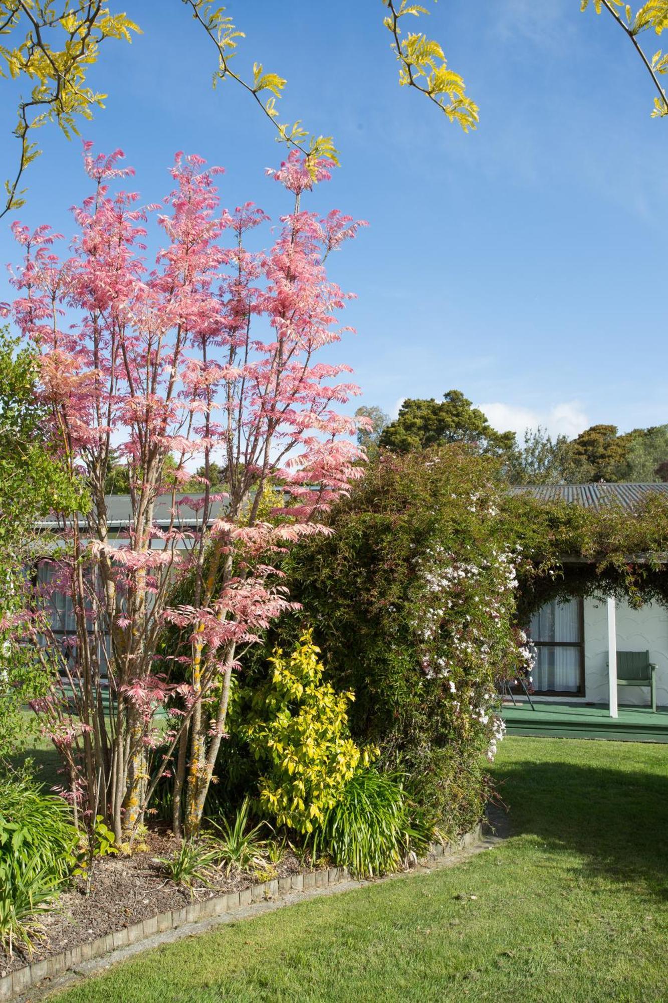 The Park Motel Motueka Luaran gambar